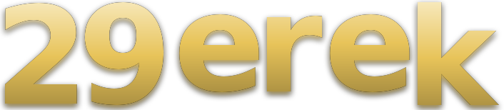 29 erek logo